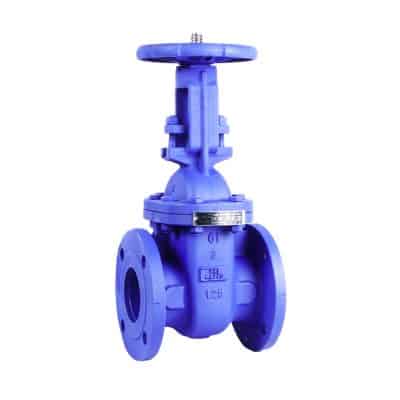 VALMATIC Cast Iron Rising Stem Gate Valve - Valmatic